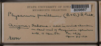 Image Associated With the Occurence